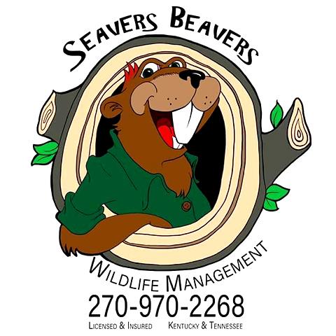 Seavers Beavers and More | Wildlife Management & Removal-Water Valley KY - Logo