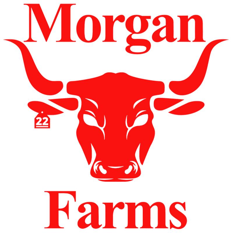 Morgan Farms 22-Sumrall MS - Logo