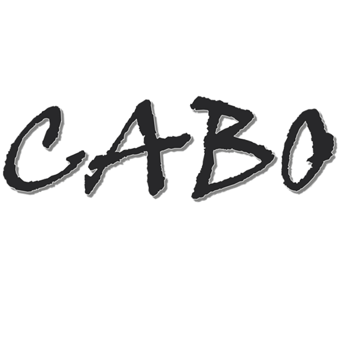 Cabo Construction-Chicago IL - Logo
