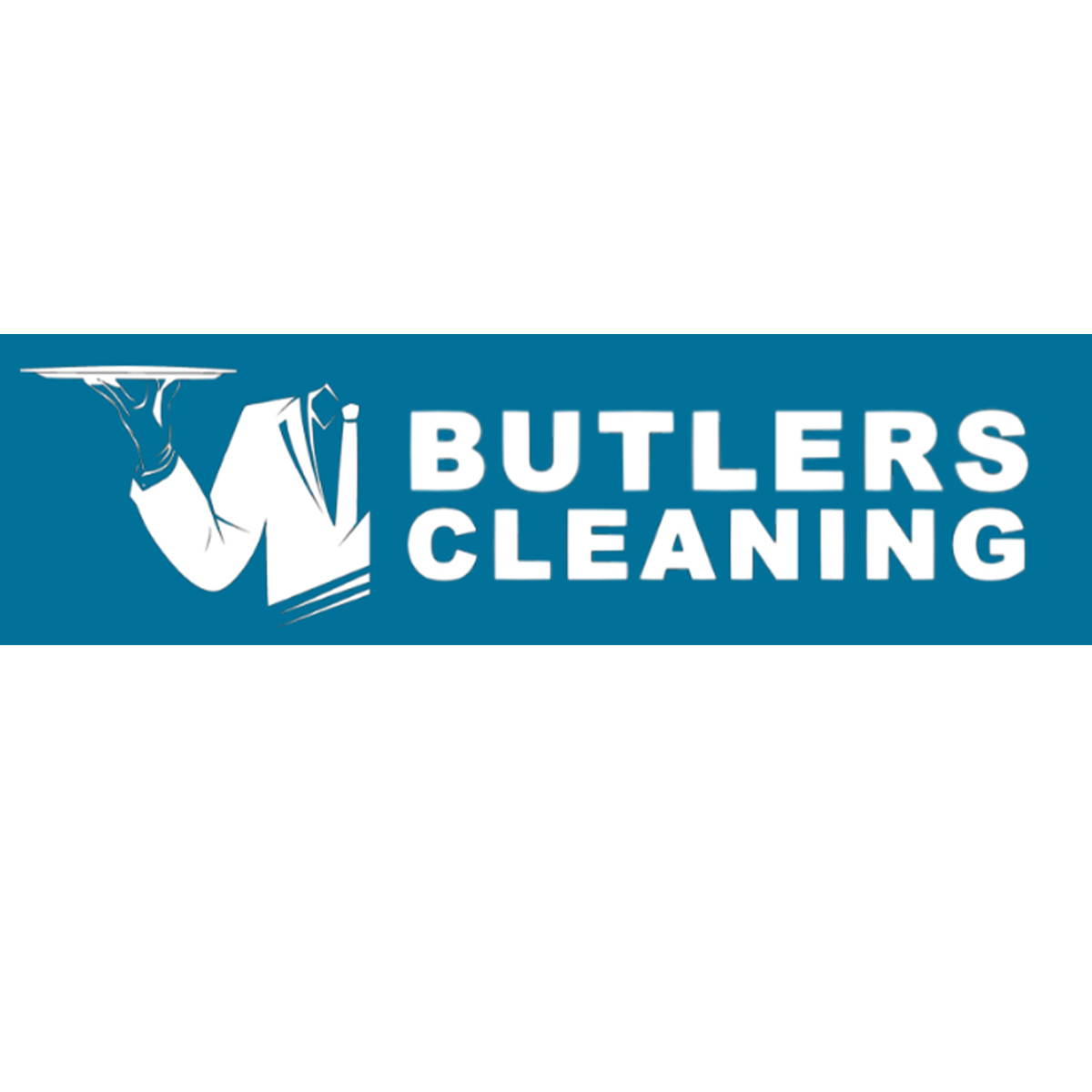 Butlers Cleaning-Washington IA - Logo