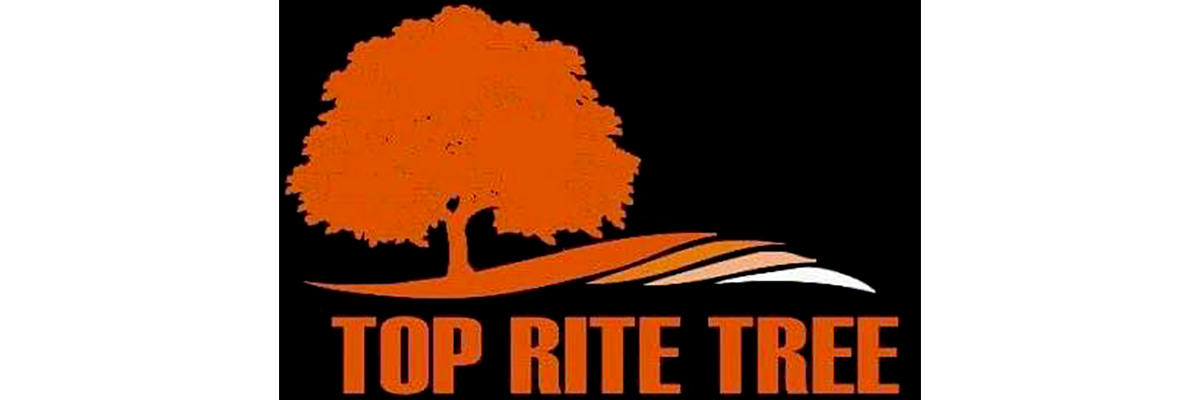Top Rite Tree LLC-Prior Lake MN - Logo