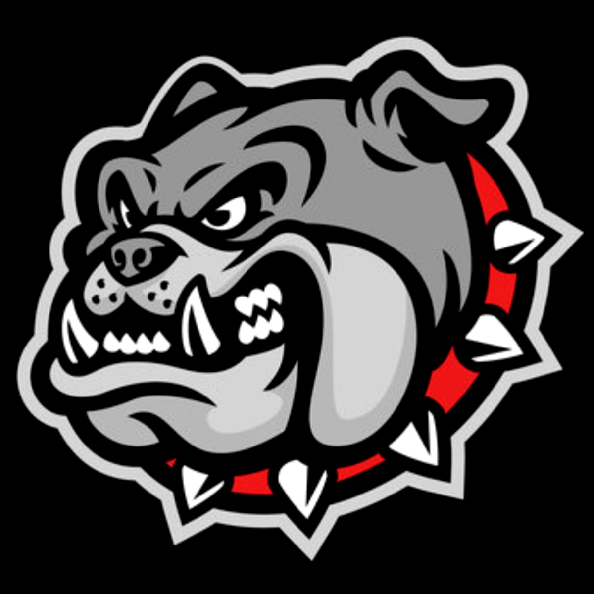Bulldog Waste Solutions Inc.-Benton KY - Logo