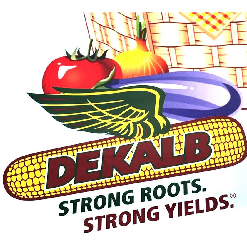 Dekalb Fresh Market-Dekalb IL - Logo