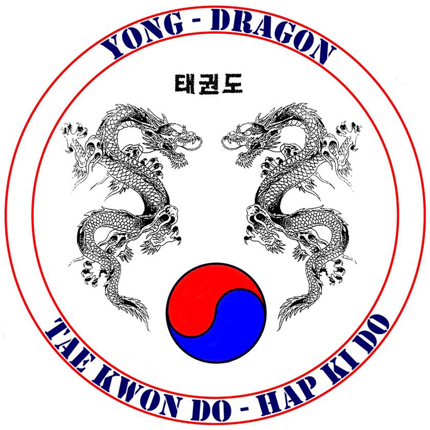 Yong Taekwondo-Round Lake Beach IL - Logo