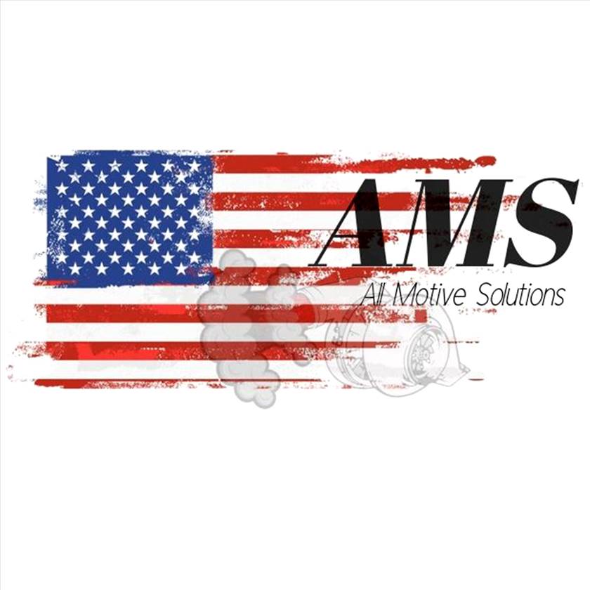 All-Motive Solutions-La Paz IN - Logo